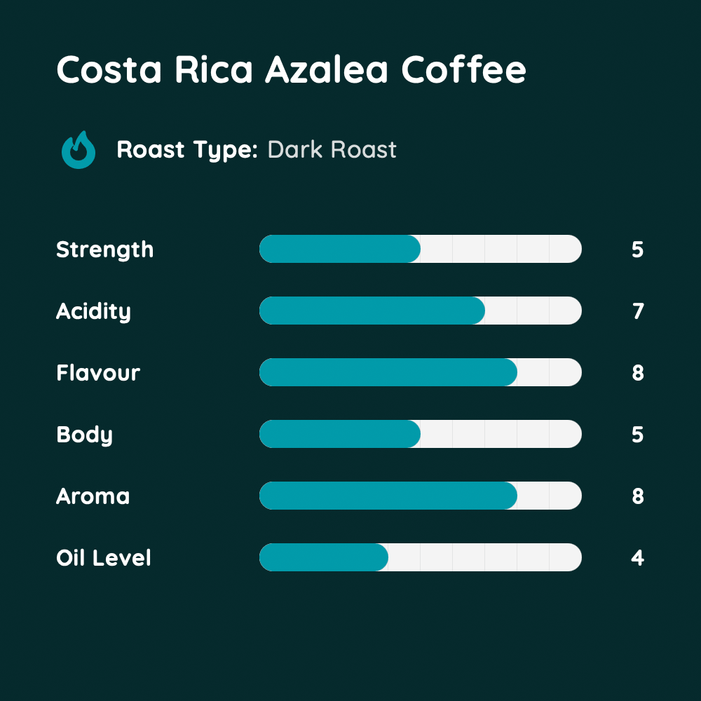 Costa Rica Azalea Coffee
