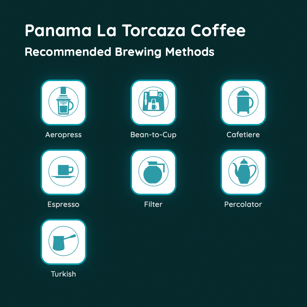 Panama La Torcaza Coffee