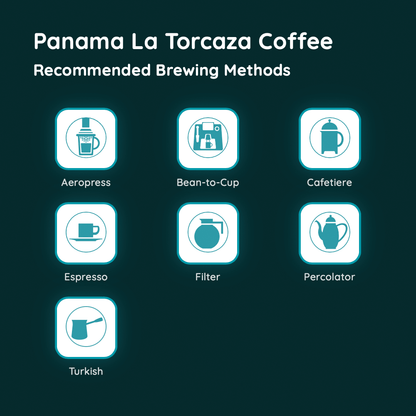 Panama La Torcaza Coffee