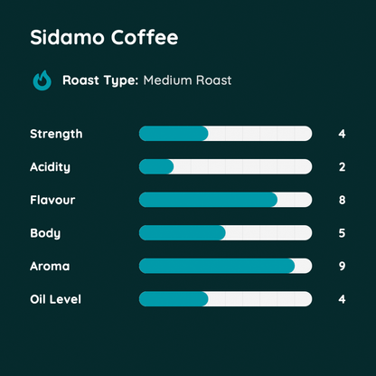 Sidamo Coffee