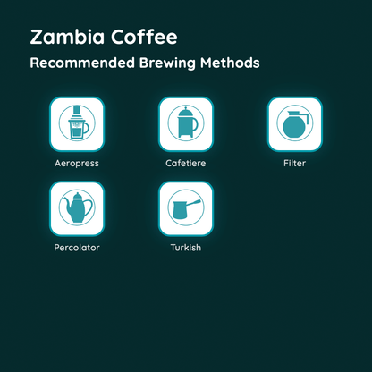 Zambia Coffee